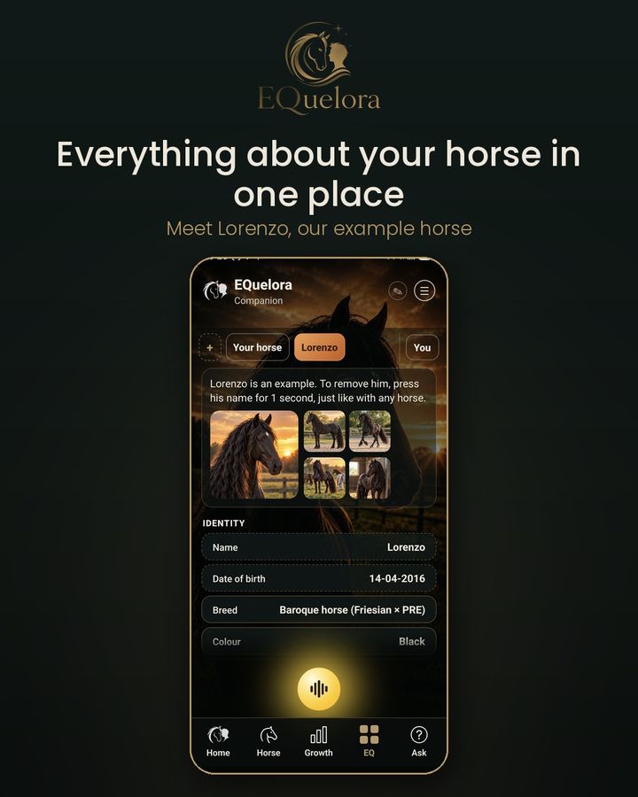 Everything about your horse in one place