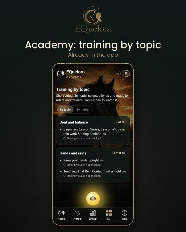 Academy: training by topic
