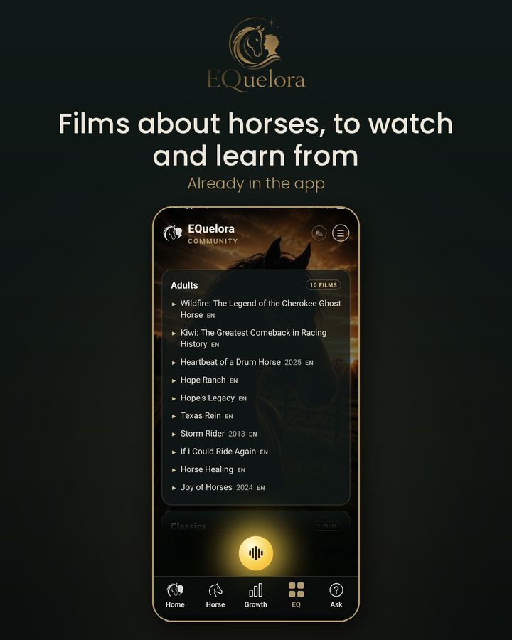 Films about horses, to watch and learn from