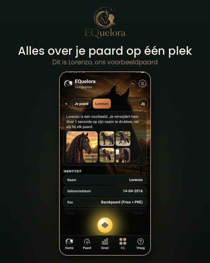 Alles over je paard op één plek